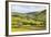 Summer Buttercups in Upper Swaledale Near Thwaite-Mark Sunderland-Framed Photographic Print