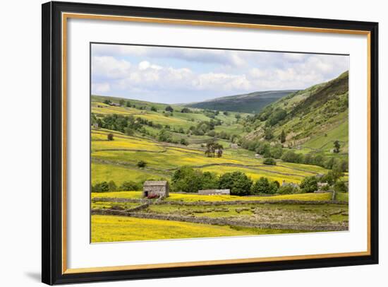 Summer Buttercups in Upper Swaledale Near Thwaite-Mark Sunderland-Framed Photographic Print