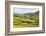 Summer Buttercups in Upper Swaledale Near Thwaite-Mark Sunderland-Framed Photographic Print