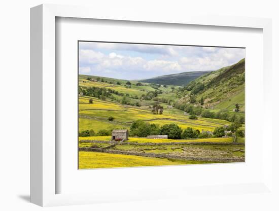 Summer Buttercups in Upper Swaledale Near Thwaite-Mark Sunderland-Framed Photographic Print