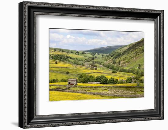 Summer Buttercups in Upper Swaledale Near Thwaite-Mark Sunderland-Framed Photographic Print