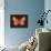 Summer Butterfly V-Sophie Golaz-Giclee Print displayed on a wall