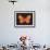 Summer Butterfly V-Sophie Golaz-Framed Giclee Print displayed on a wall