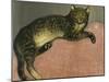 Summer, Cat on a Railing-Théophile Alexandre Steinlen-Mounted Giclee Print