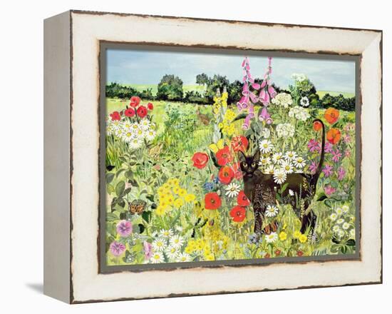 Summer Cat-Hilary Jones-Framed Premier Image Canvas