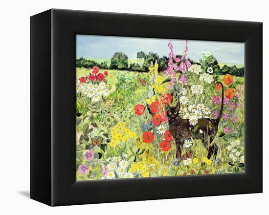 Summer Cat-Hilary Jones-Framed Premier Image Canvas