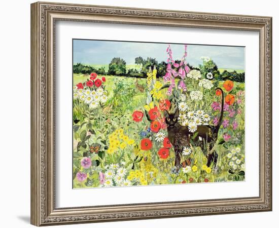 Summer Cat-Hilary Jones-Framed Giclee Print