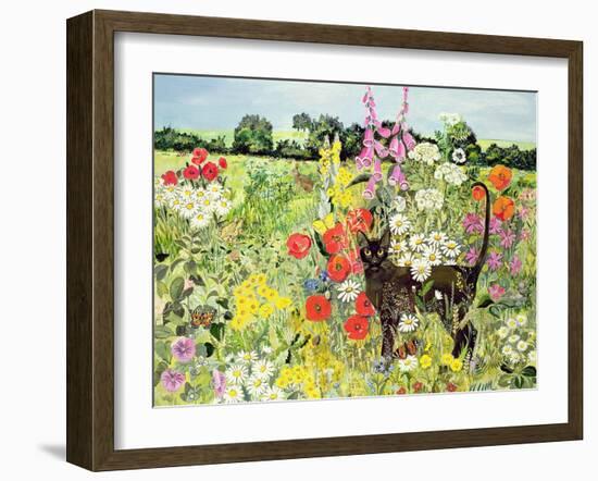 Summer Cat-Hilary Jones-Framed Giclee Print