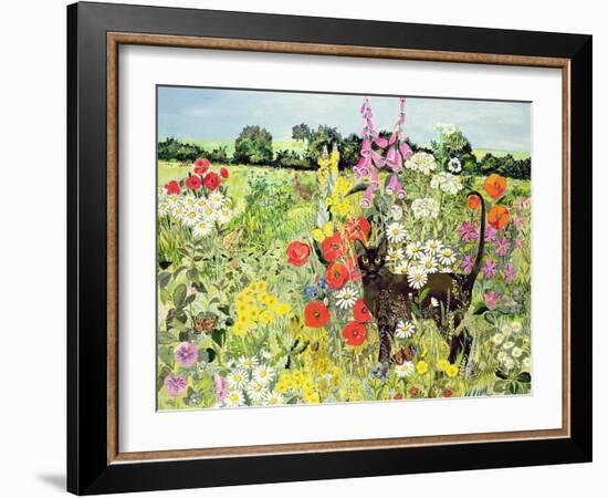 Summer Cat-Hilary Jones-Framed Giclee Print