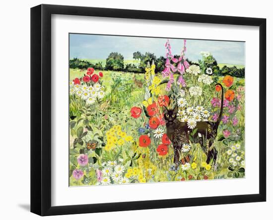 Summer Cat-Hilary Jones-Framed Giclee Print