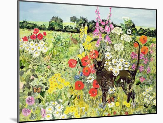 Summer Cat-Hilary Jones-Mounted Giclee Print