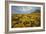 Summer Coastal Wildflower Landscape-Vincent James-Framed Photographic Print