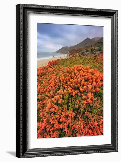 Summer Coastal Wildflowers Landscape, Carmel California-Vincent James-Framed Premium Photographic Print