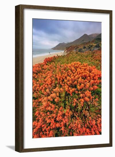 Summer Coastal Wildflowers Landscape, Carmel California-Vincent James-Framed Photographic Print