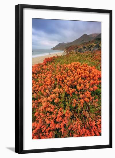 Summer Coastal Wildflowers Landscape, Carmel California-Vincent James-Framed Photographic Print