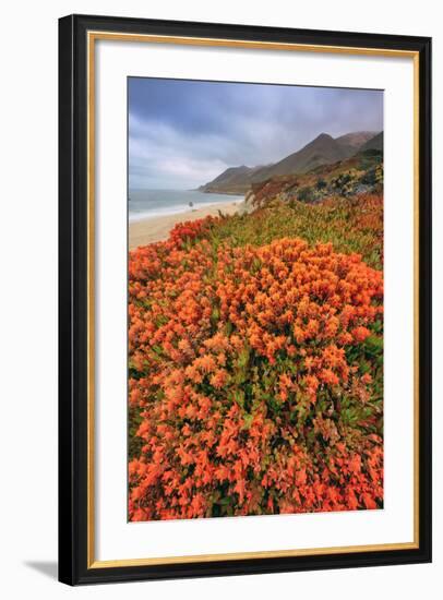 Summer Coastal Wildflowers Landscape, Carmel California-Vincent James-Framed Photographic Print