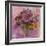 Summer Colour-Ann Oram-Framed Giclee Print