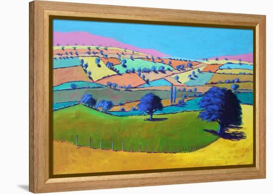 Summer Coombe, 2021 (acrylic on board)-Paul Powis-Framed Premier Image Canvas