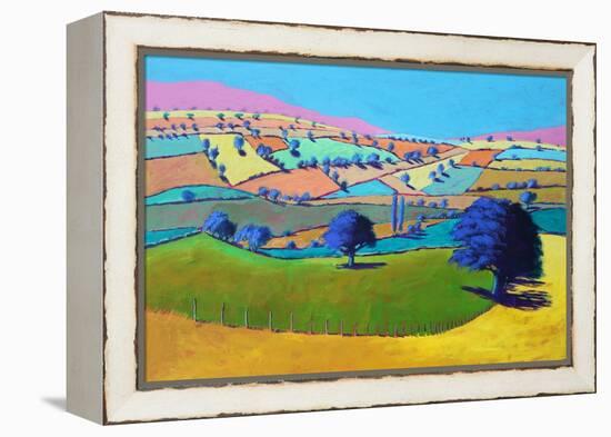 Summer Coombe, 2021 (acrylic on board)-Paul Powis-Framed Premier Image Canvas