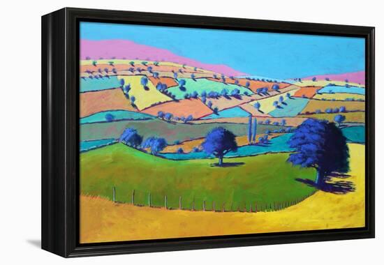 Summer Coombe, 2021 (acrylic on board)-Paul Powis-Framed Premier Image Canvas