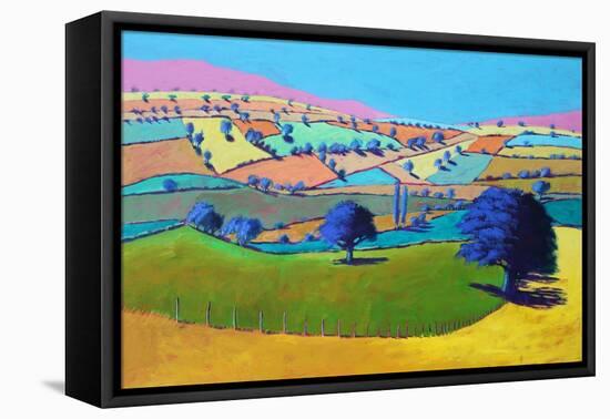 Summer Coombe, 2021 (acrylic on board)-Paul Powis-Framed Premier Image Canvas