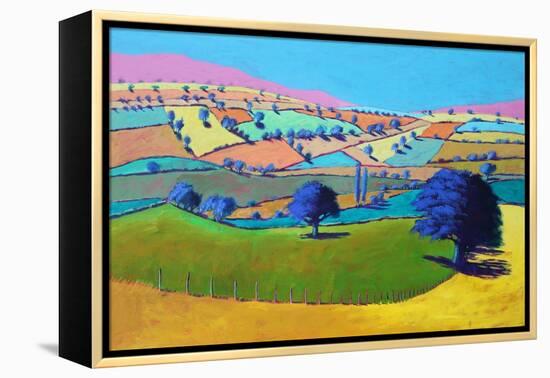 Summer Coombe, 2021 (acrylic on board)-Paul Powis-Framed Premier Image Canvas