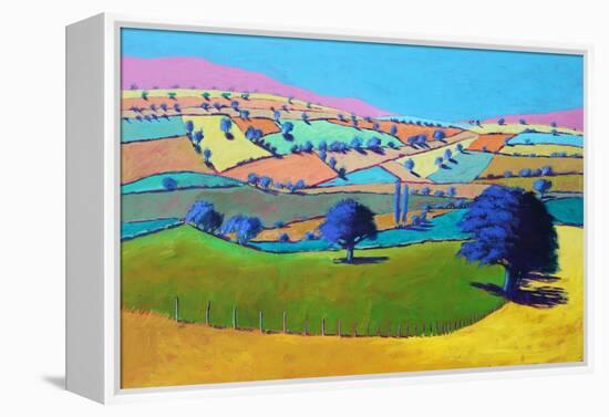 Summer Coombe, 2021 (acrylic on board)-Paul Powis-Framed Premier Image Canvas