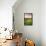 Summer Crops Growing in a Field Near Lanreath, Cornwall, England. Summer-Adam Burton-Framed Premier Image Canvas displayed on a wall