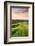 Summer Crops Growing in a Field Near Lanreath, Cornwall, England. Summer-Adam Burton-Framed Photographic Print