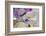 Summer Cup of Tea with Lilac-neirfy-Framed Photographic Print