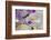 Summer Cup of Tea with Lilac-neirfy-Framed Photographic Print