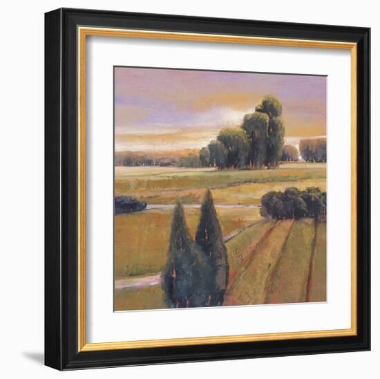 Summer Cypress-Langford-Framed Giclee Print