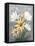 Summer Daisies I-Jade Reynolds-Framed Stretched Canvas