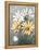 Summer Daisies II-Jade Reynolds-Framed Stretched Canvas