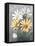 Summer Daisies II-Jade Reynolds-Framed Stretched Canvas