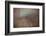 Summer Dawn-Doug Chinnery-Framed Photographic Print