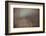 Summer Dawn-Doug Chinnery-Framed Photographic Print