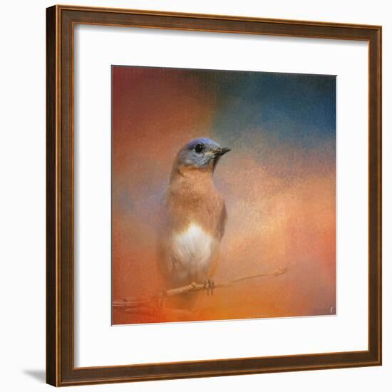 Summer Day Bluebird-Jai Johnson-Framed Giclee Print