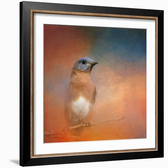 Summer Day Bluebird-Jai Johnson-Framed Giclee Print