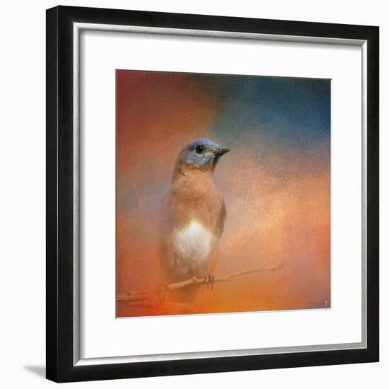 Summer Day Bluebird-Jai Johnson-Framed Giclee Print