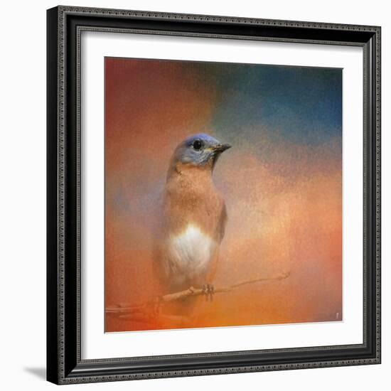 Summer Day Bluebird-Jai Johnson-Framed Giclee Print