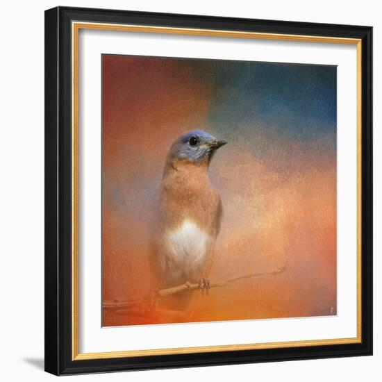 Summer Day Bluebird-Jai Johnson-Framed Giclee Print