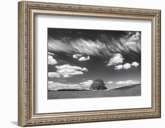 Summer Days-Doug Chinnery-Framed Photographic Print