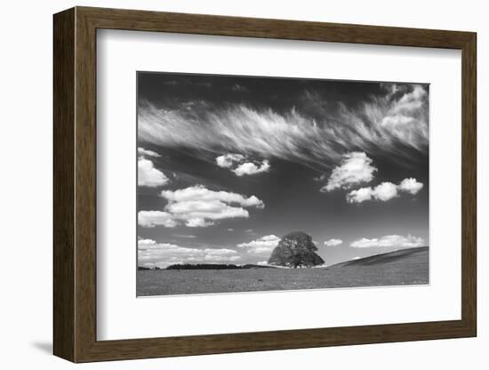 Summer Days-Doug Chinnery-Framed Photographic Print