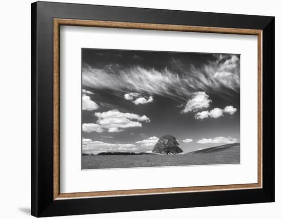 Summer Days-Doug Chinnery-Framed Photographic Print