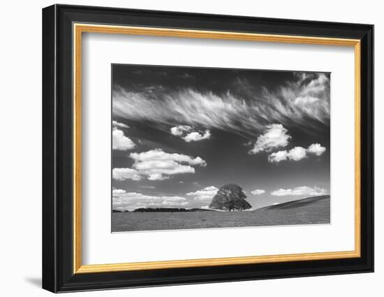 Summer Days-Doug Chinnery-Framed Photographic Print