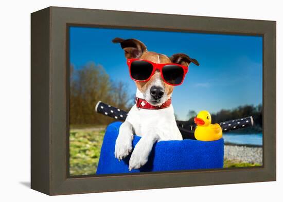 Summer Dog on Bike-Javier Brosch-Framed Premier Image Canvas