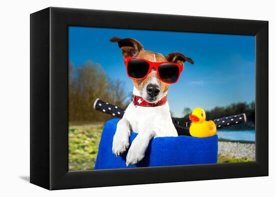 Summer Dog on Bike-Javier Brosch-Framed Premier Image Canvas