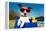 Summer Dog on Bike-Javier Brosch-Framed Premier Image Canvas