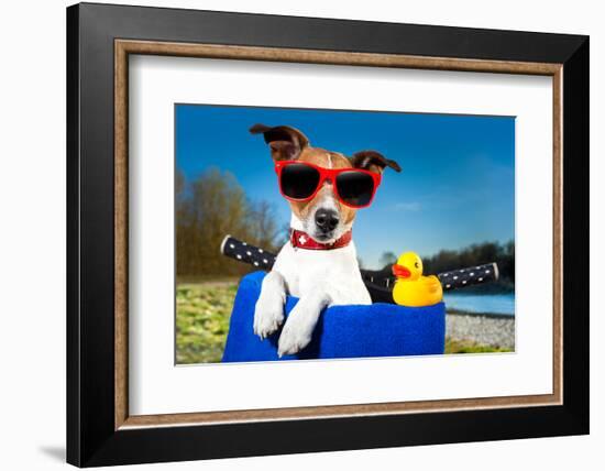 Summer Dog on Bike-Javier Brosch-Framed Photographic Print